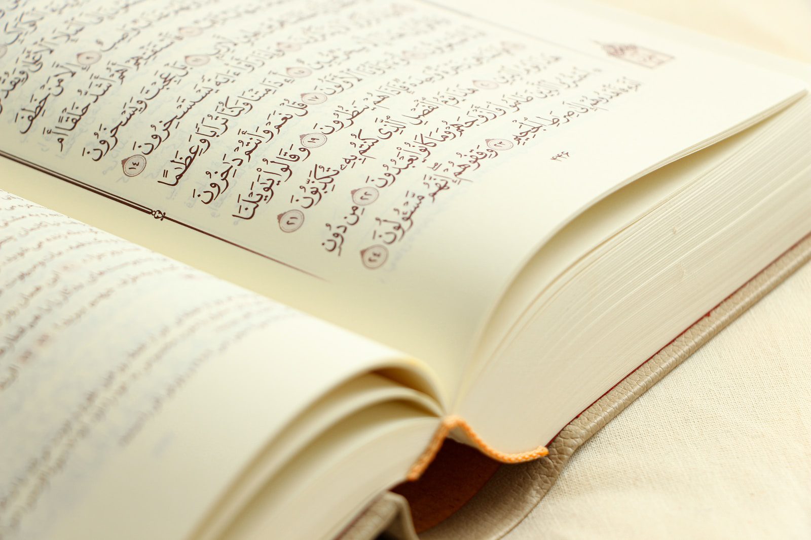 حلقات قرآن